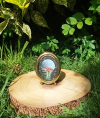 Image 3 of Mushroom in oval brass frame